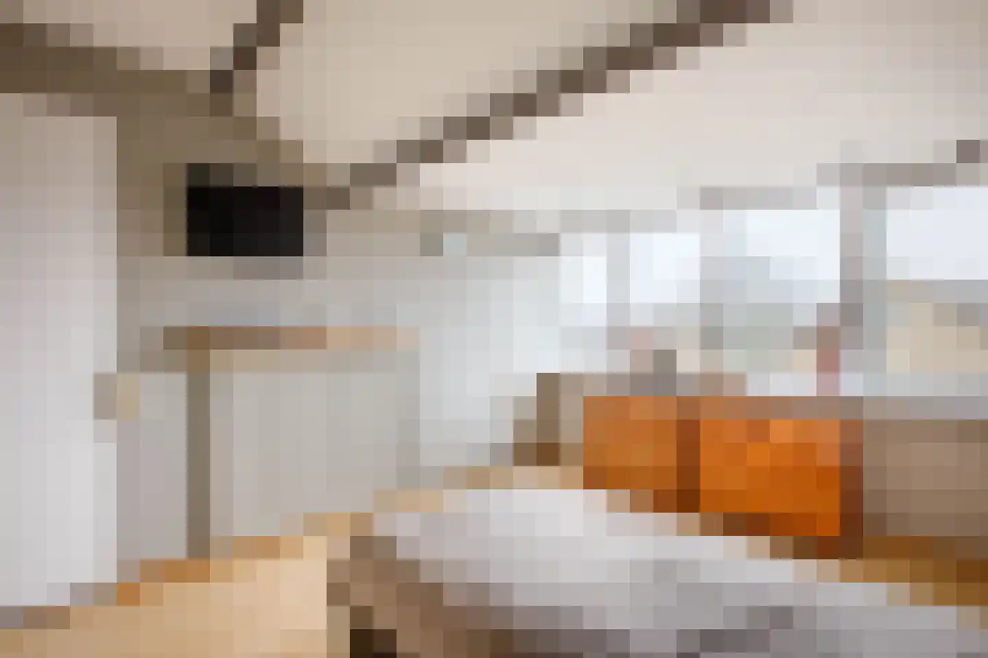 Reigersingel 26 Bergambacht thumbnail 32