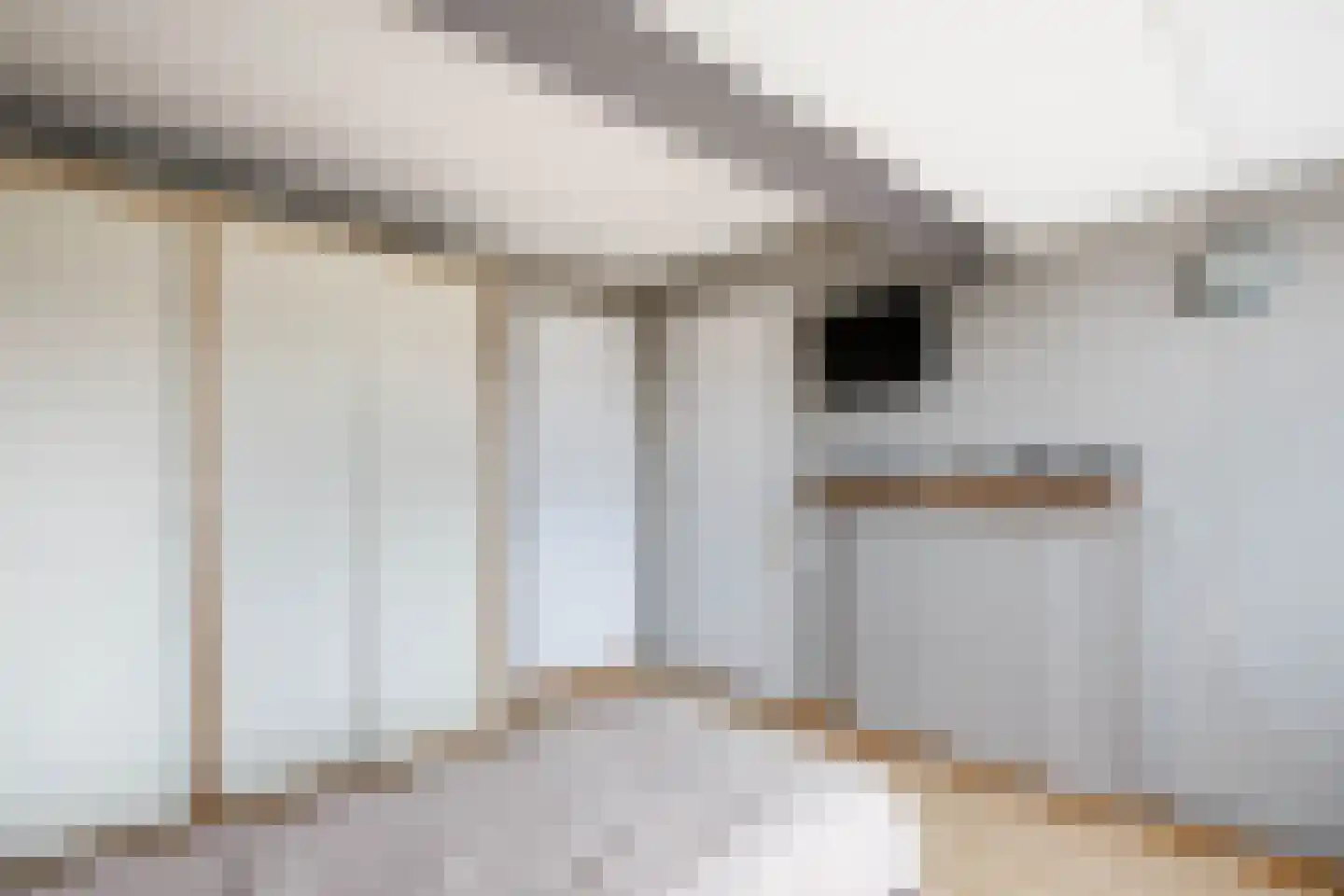 Reigersingel 26 Bergambacht thumbnail 34