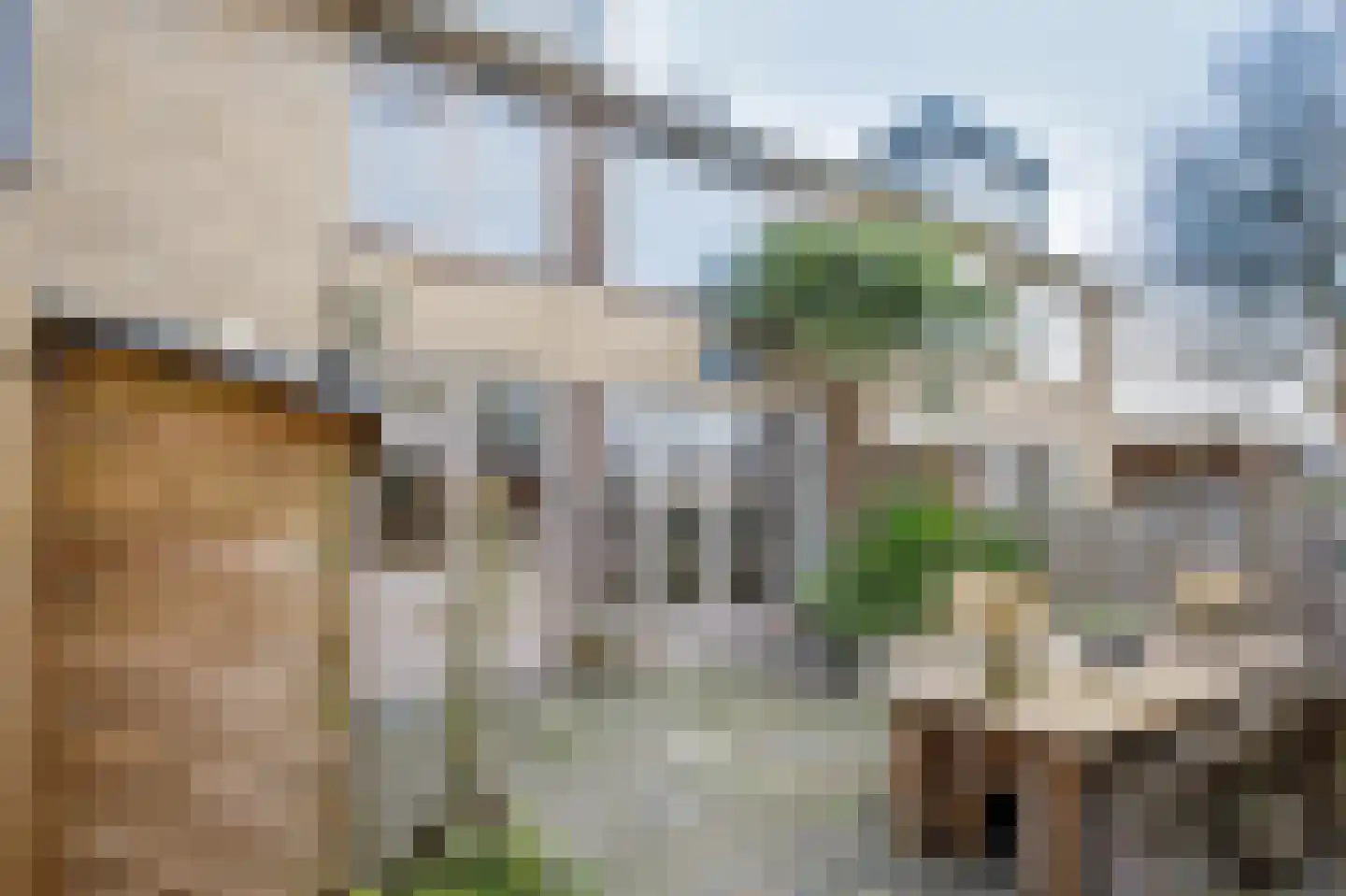 Reigersingel 26 Bergambacht thumbnail 36