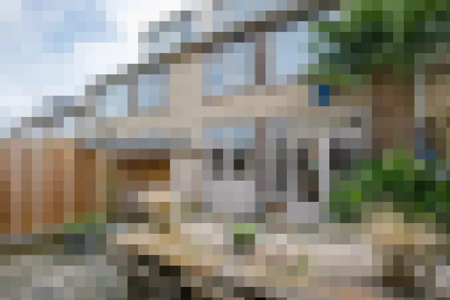 Reigersingel 26 Bergambacht thumbnail 37