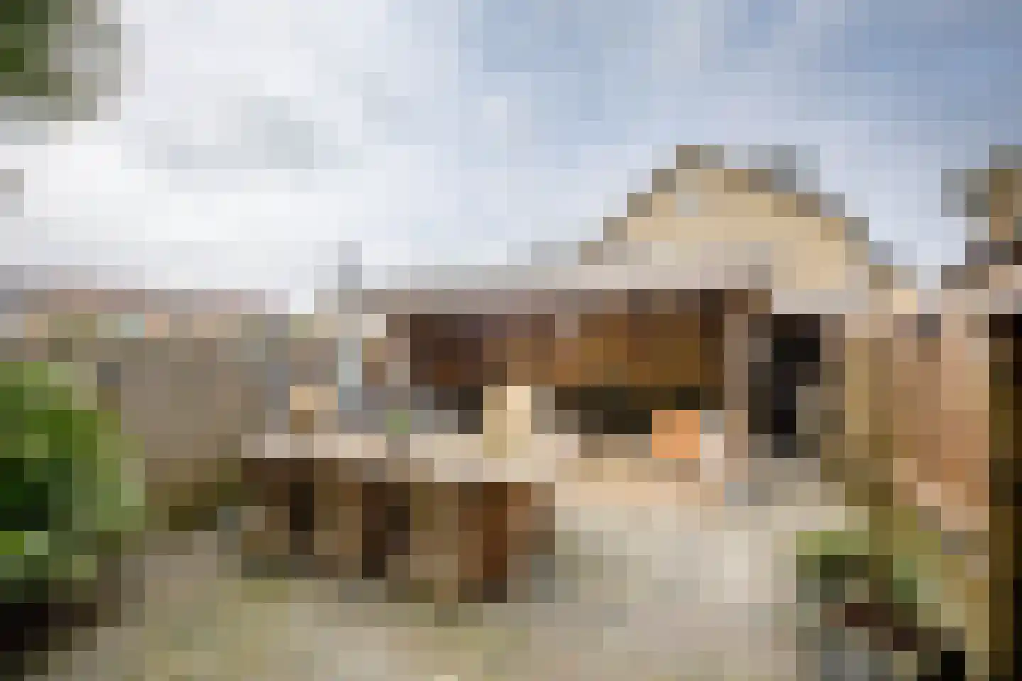 Reigersingel 26 Bergambacht thumbnail 38