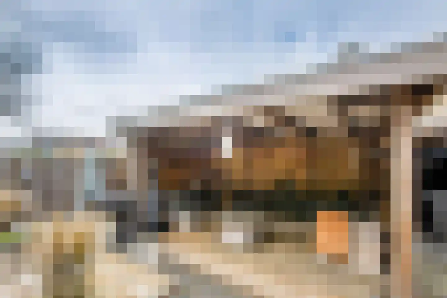 Reigersingel 26 Bergambacht thumbnail 39