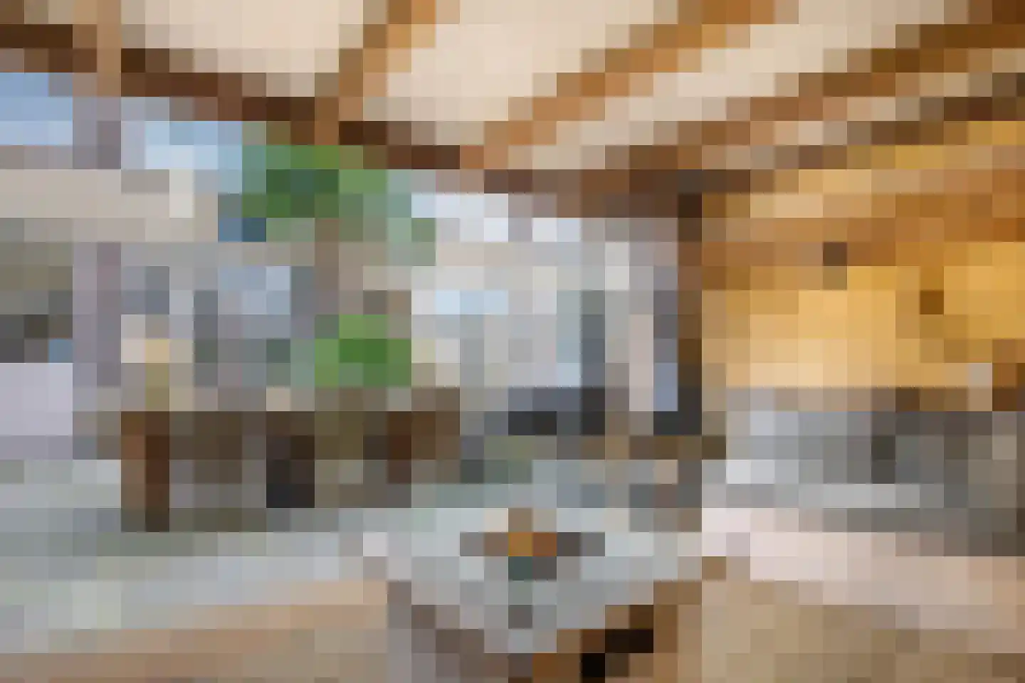 Reigersingel 26 Bergambacht thumbnail 40