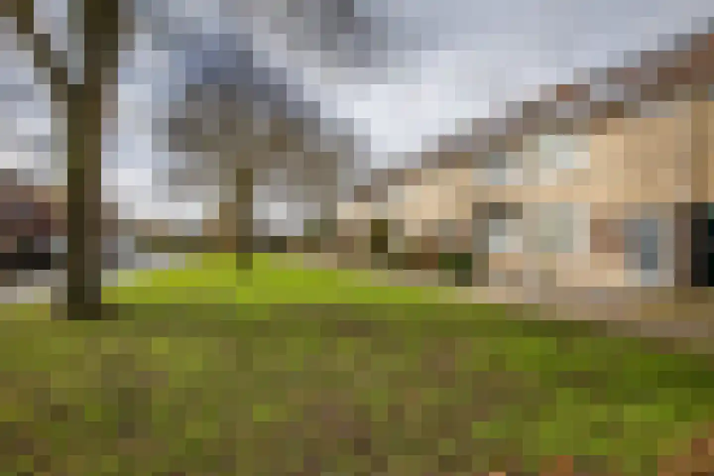 Reigersingel 26 Bergambacht thumbnail 42