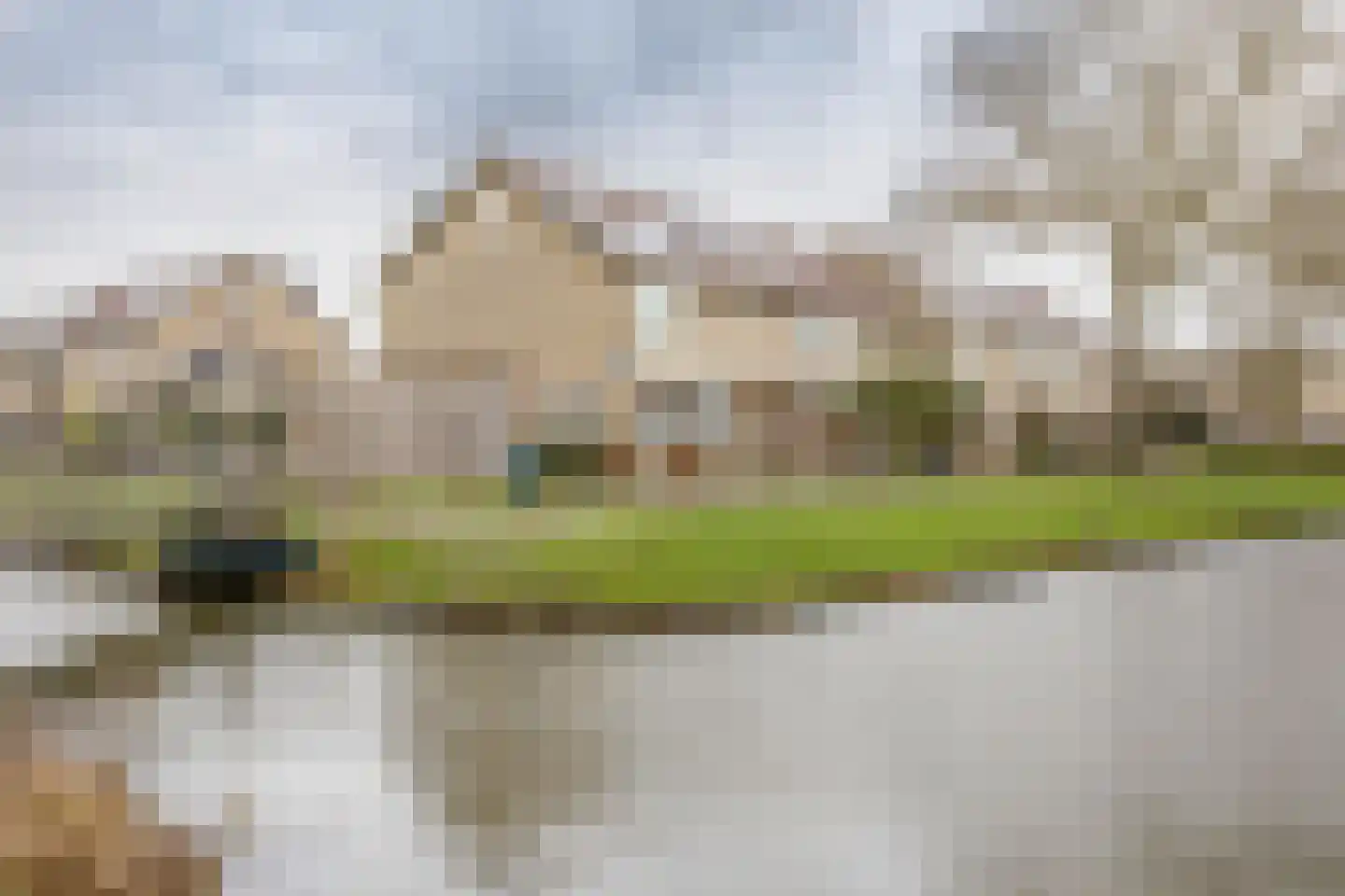Reigersingel 26 Bergambacht thumbnail 43