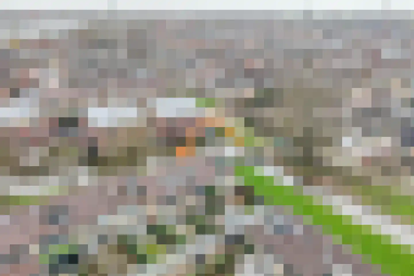 Reigersingel 26 Bergambacht thumbnail 46