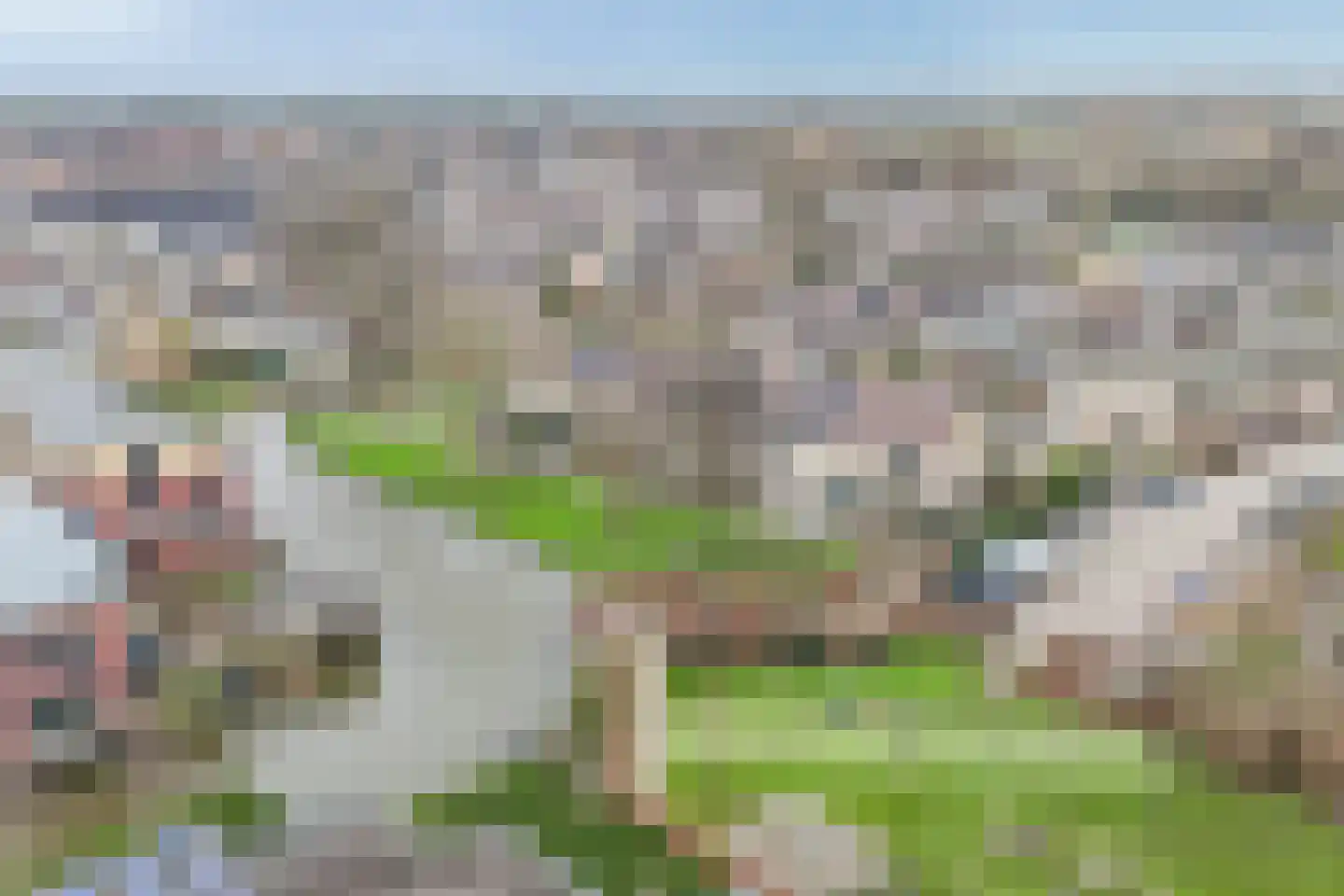 Reigersingel 26 Bergambacht thumbnail 47