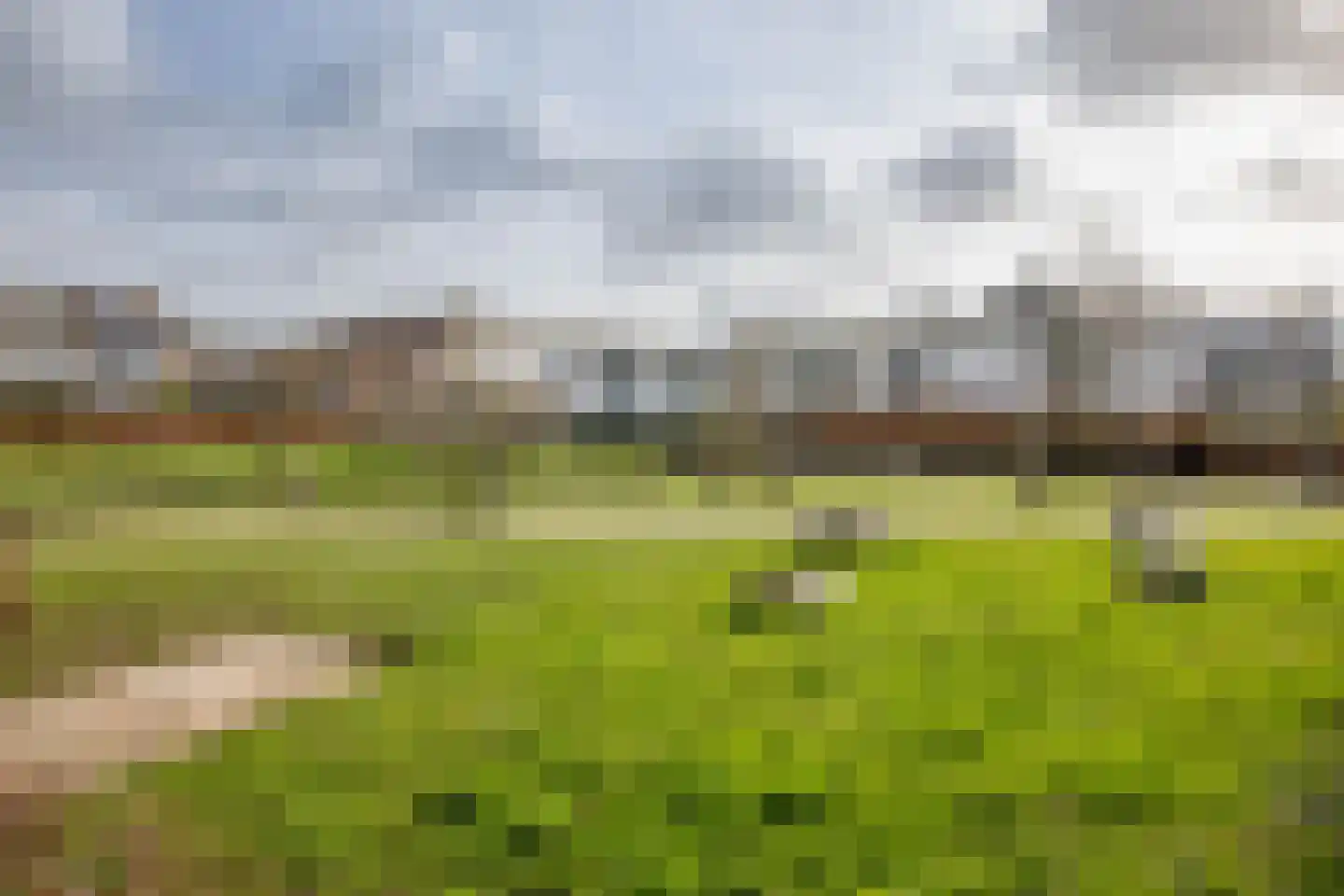Reigersingel 26 Bergambacht thumbnail 48