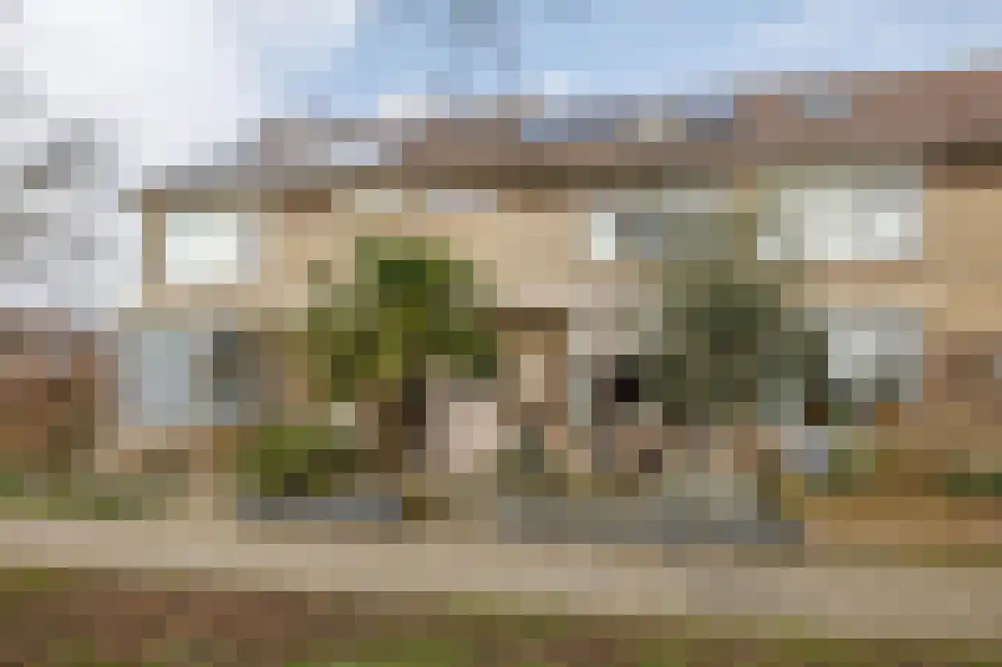 Reigersingel 26 Bergambacht thumbnail 5