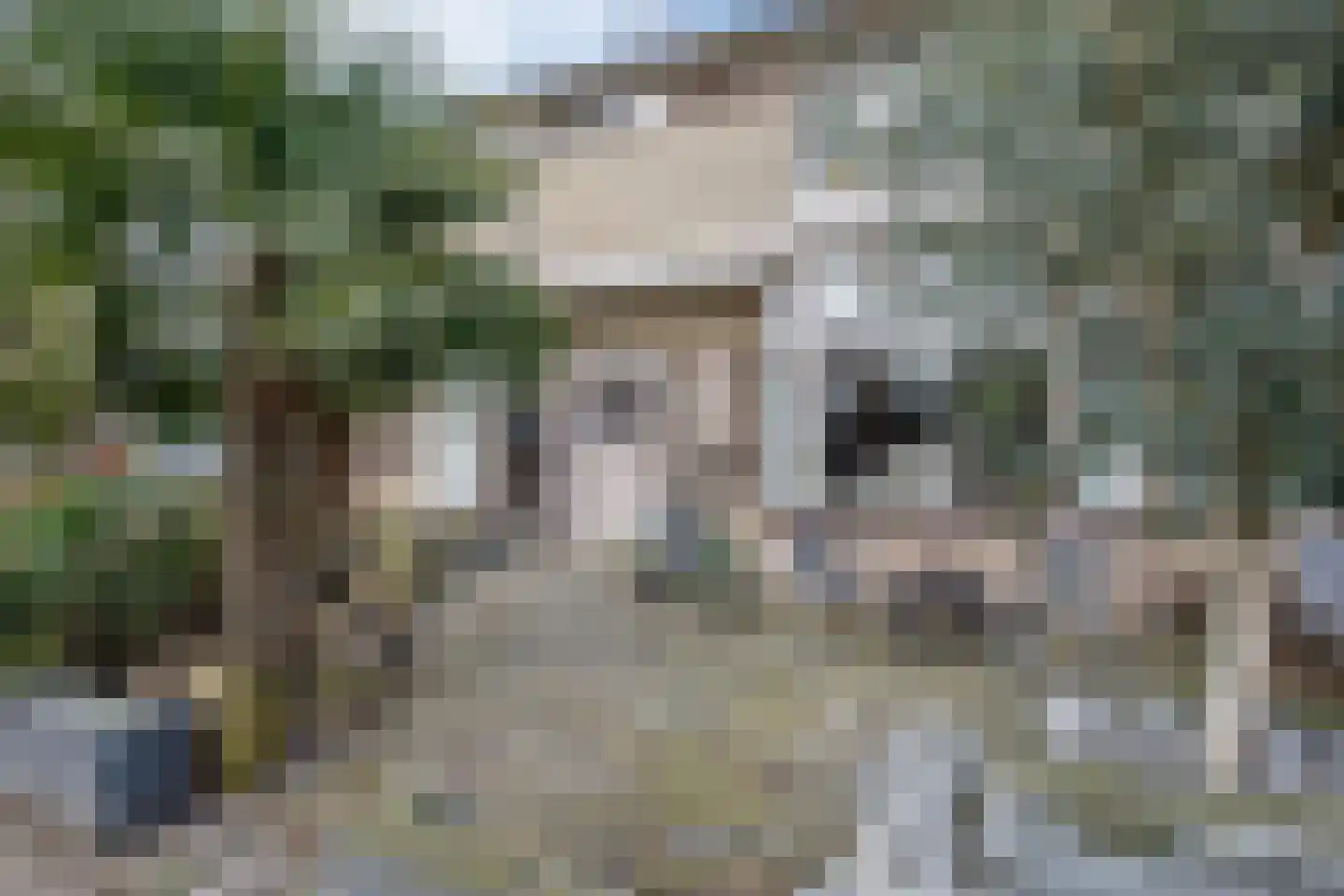 Reigersingel 26 Bergambacht thumbnail 6