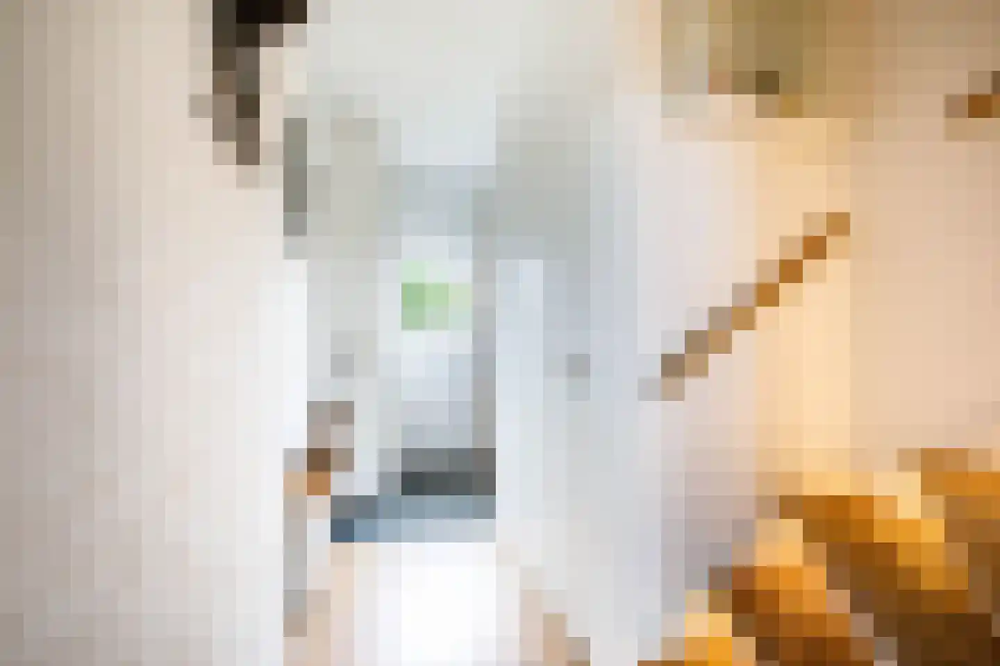 Reigersingel 26 Bergambacht thumbnail 7