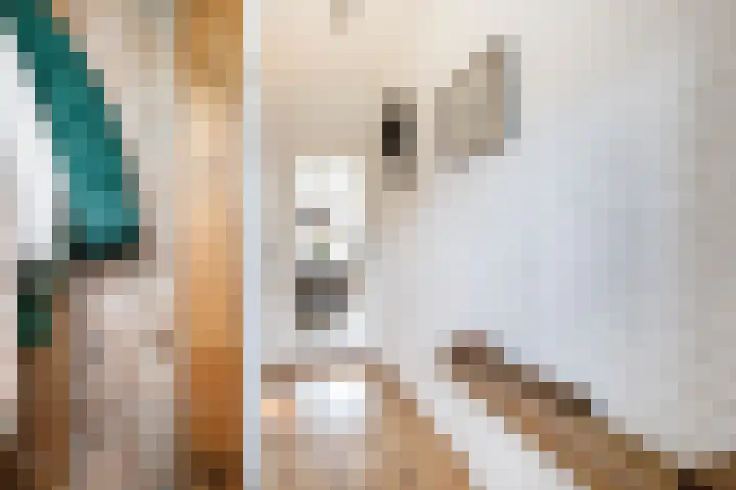 Reigersingel 26 Bergambacht thumbnail 9