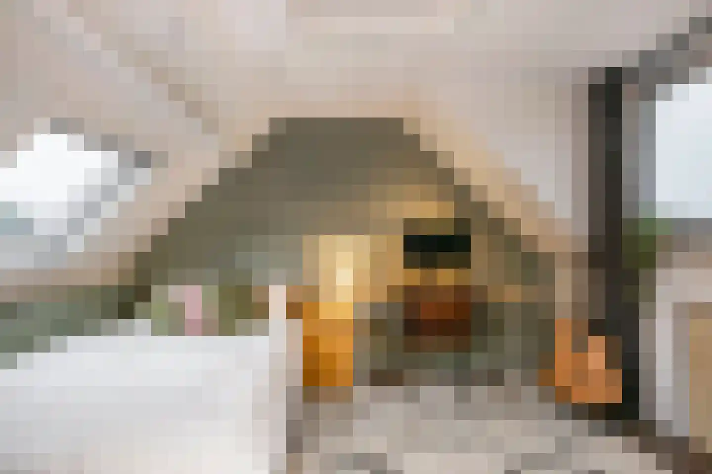 Reigerskamp 11 Maarssen thumbnail 27