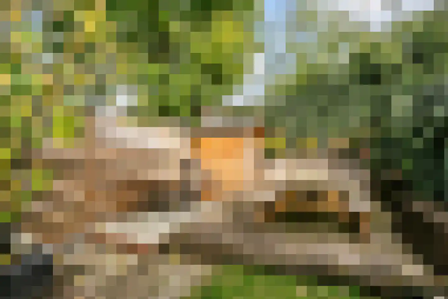 Reigerskamp 11 Maarssen thumbnail 30