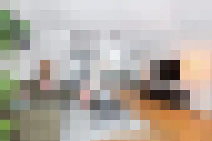 Reigerskamp 144 Maarssen thumbnail 12
