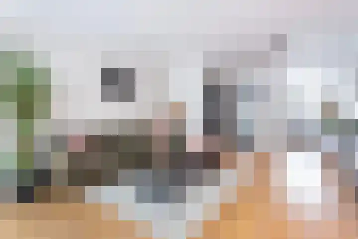 Reigerskamp 144 Maarssen thumbnail 13