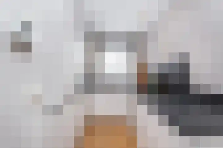 Reigerskamp 144 Maarssen thumbnail 15