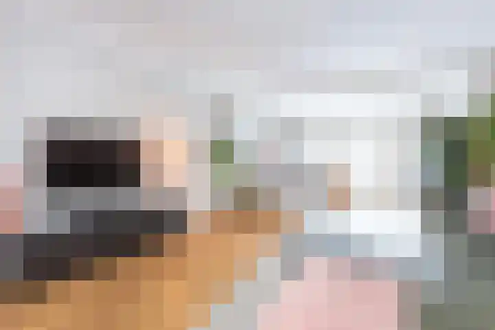 Reigerskamp 144 Maarssen thumbnail 6