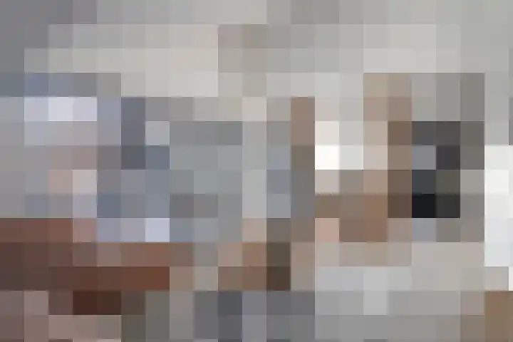 Reigerskamp 188 Maarssen thumbnail 15