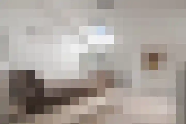 Reigerskamp 188 Maarssen thumbnail 29