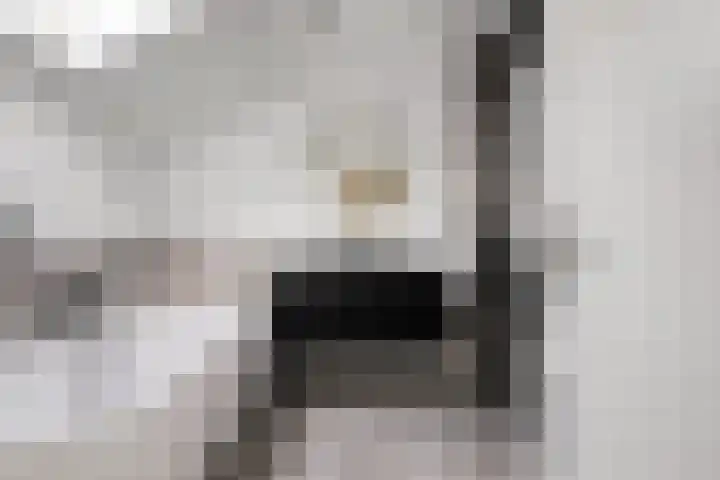 Reigerskamp 188 Maarssen thumbnail 36