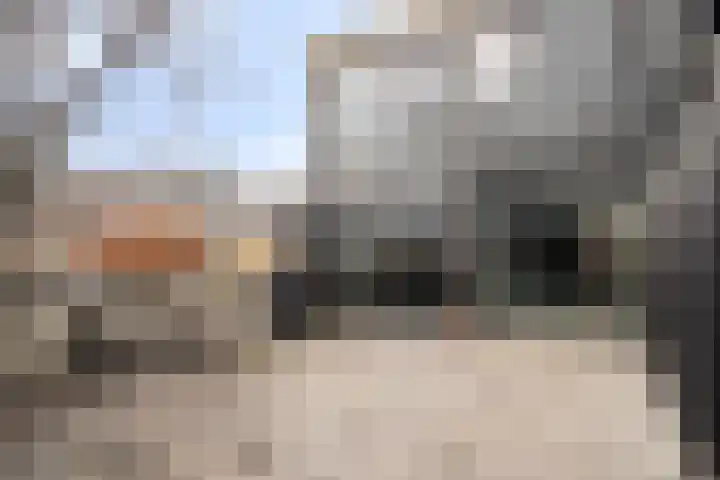 Reigerskamp 188 Maarssen thumbnail 39