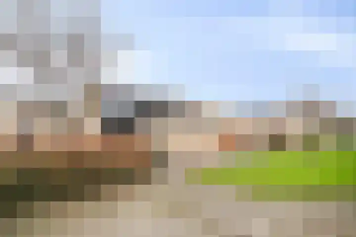 Reigerskamp 188 Maarssen thumbnail 4