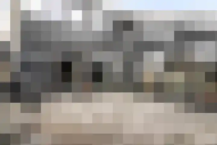 Reigerskamp 188 Maarssen thumbnail 40