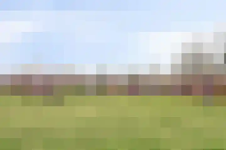 Reigerskamp 188 Maarssen thumbnail 44