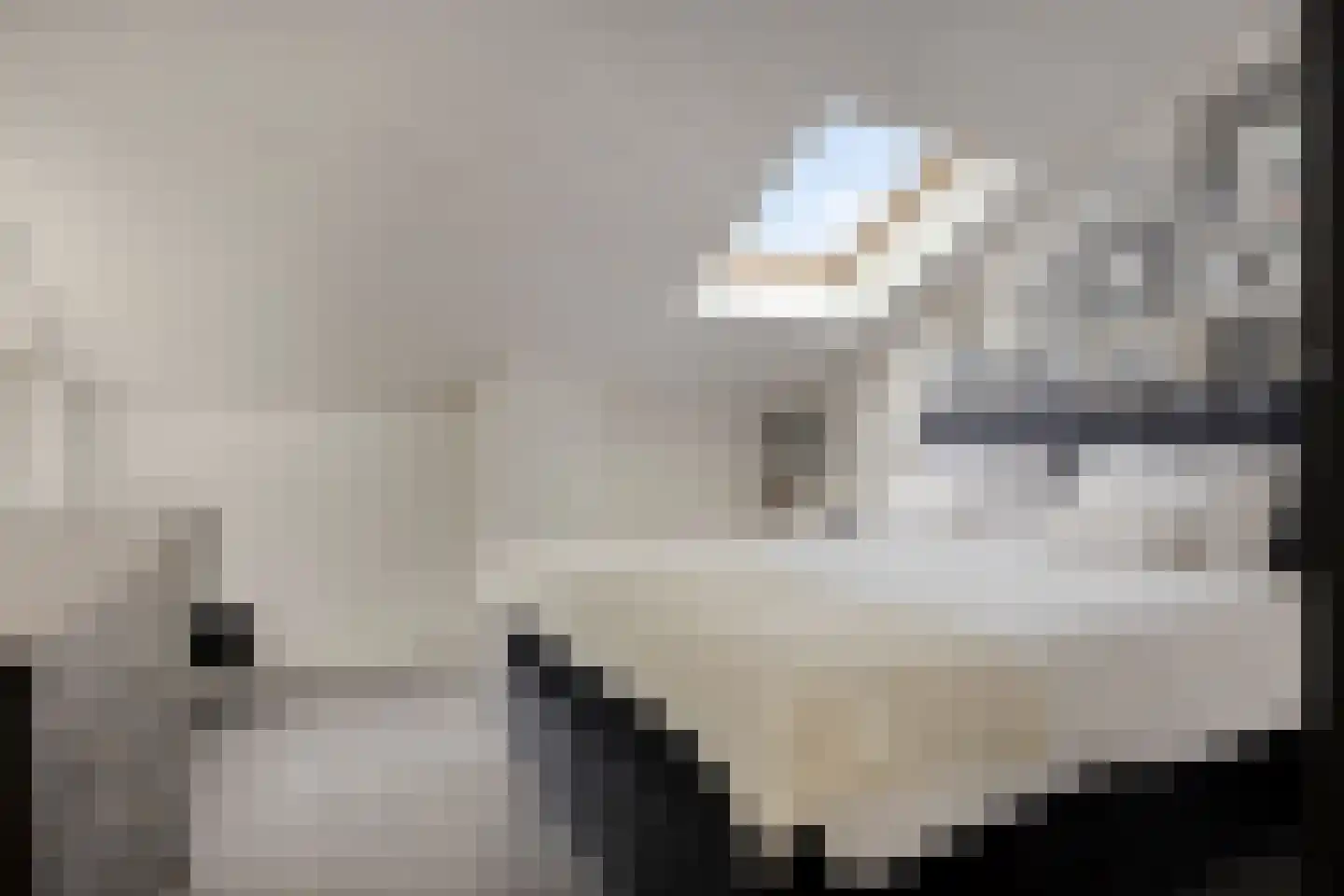 Reigerskamp 195 Maarssen thumbnail 32