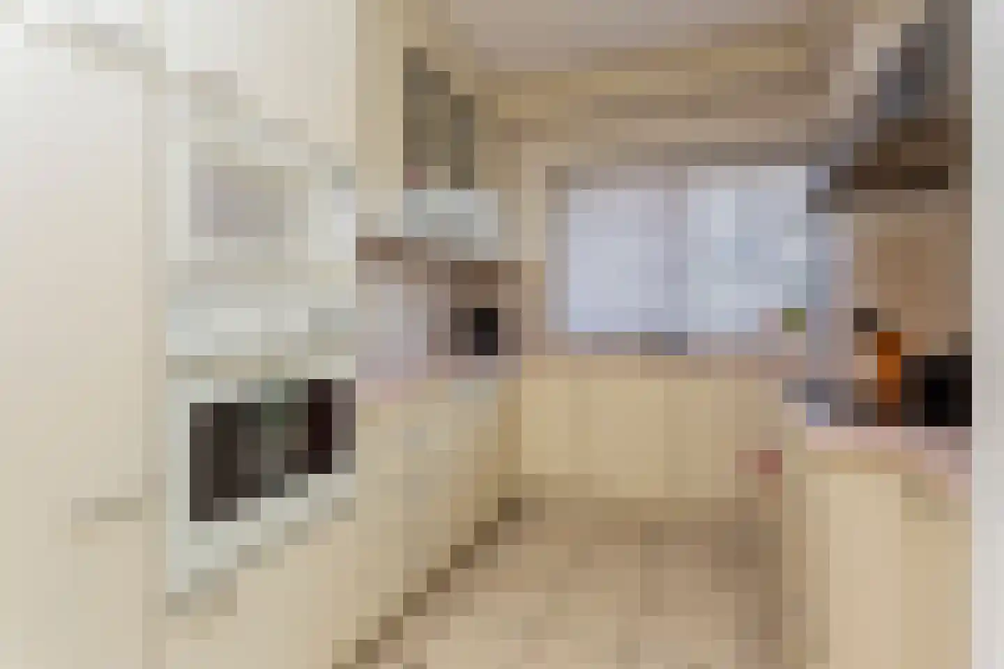 Reigerskamp 196 Maarssen thumbnail 14