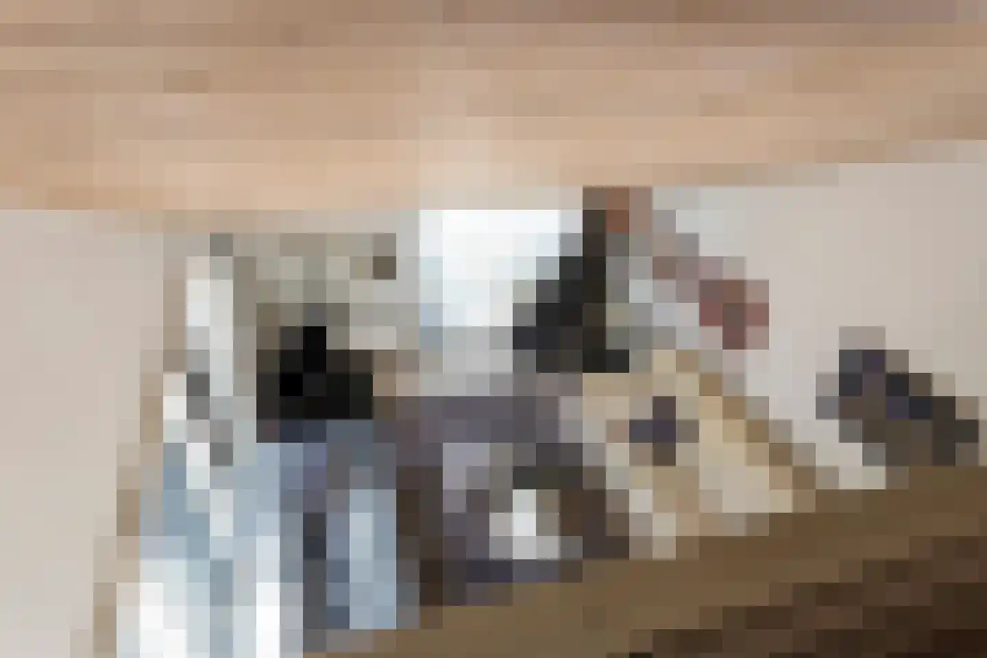 Reigerskamp 196 Maarssen thumbnail 22