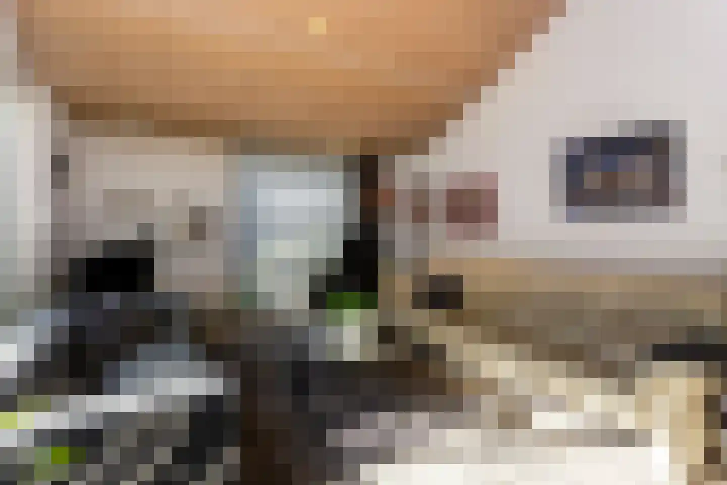 Reigerskamp 196 Maarssen thumbnail 6