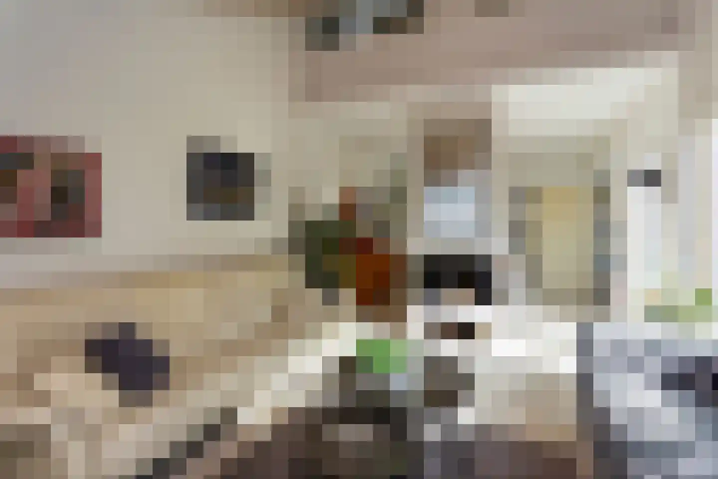 Reigerskamp 196 Maarssen thumbnail 7
