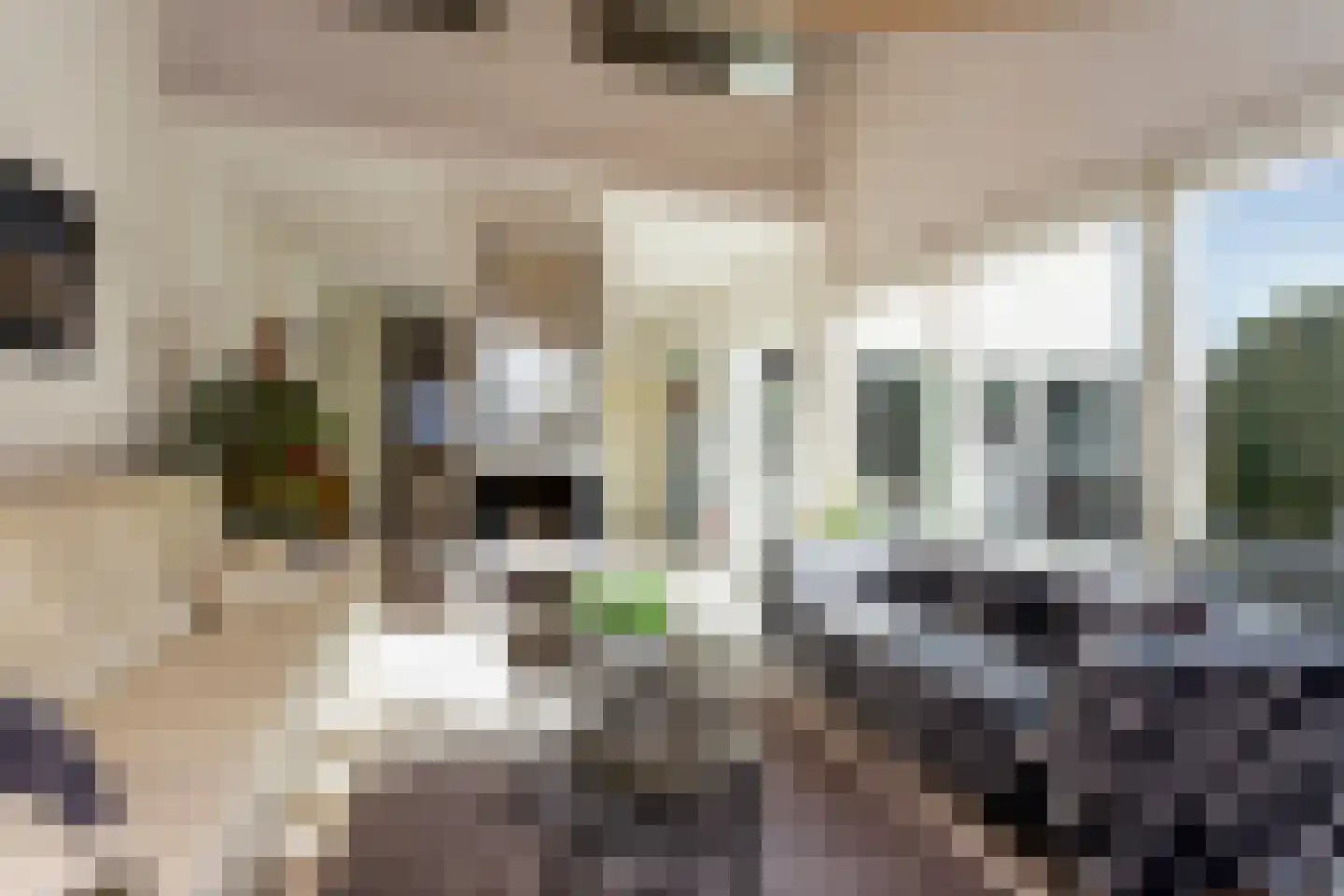 Reigerskamp 196 Maarssen thumbnail 8