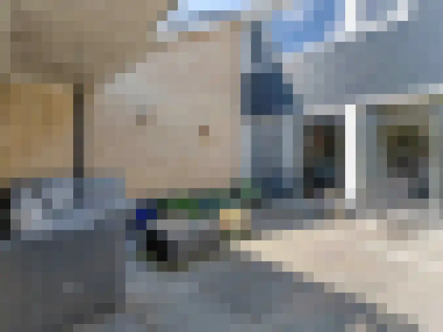 Reigerskamp 219 Maarssen thumbnail 21