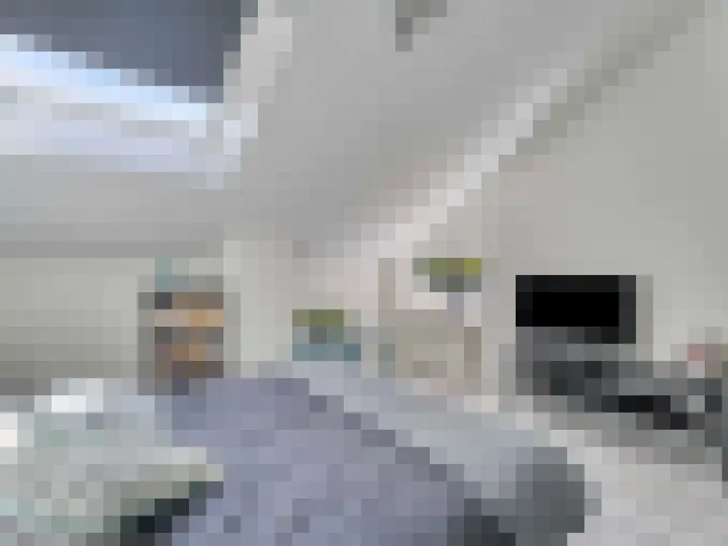 Reigerskamp 219 Maarssen thumbnail 25