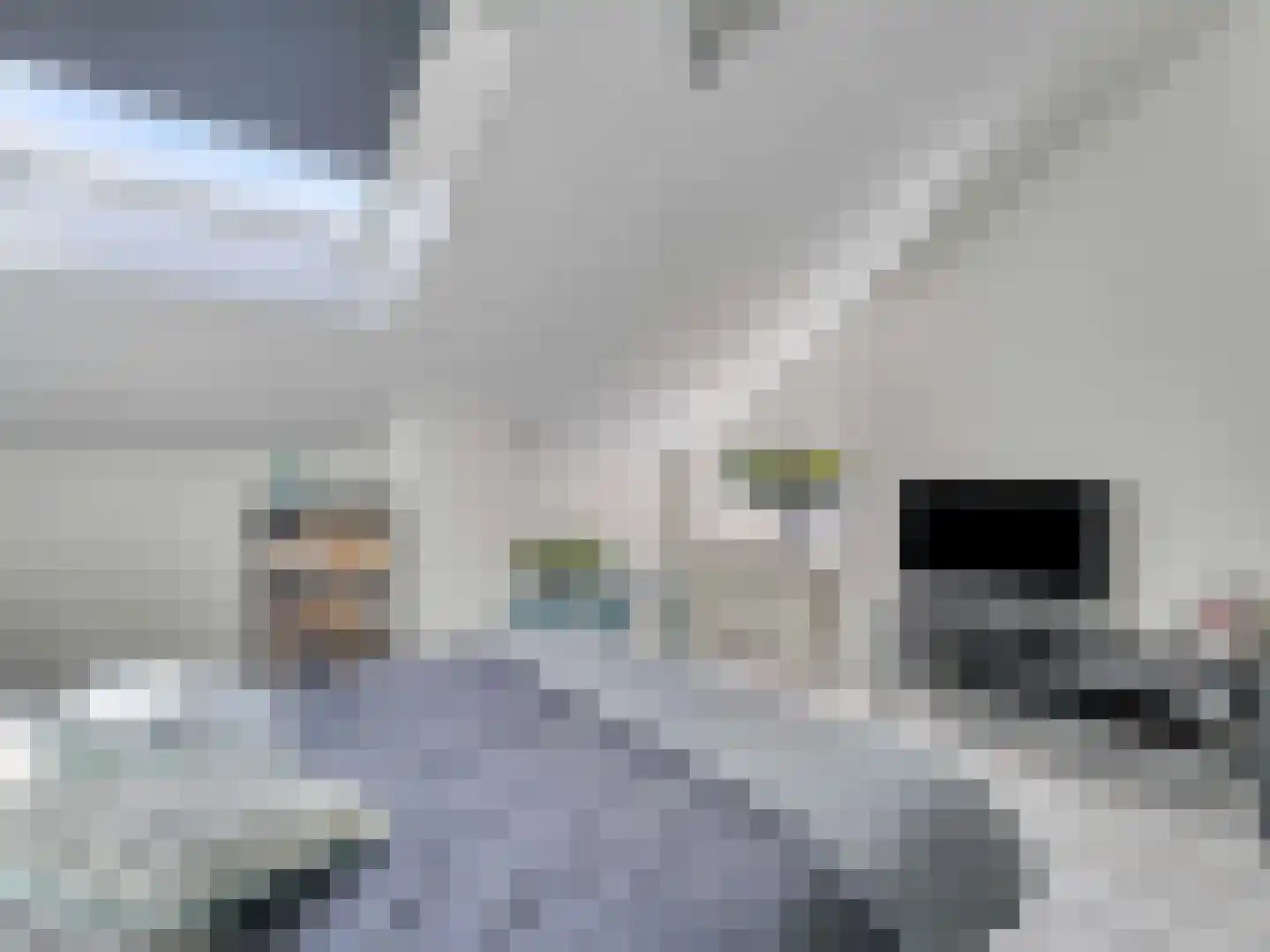 Reigerskamp 219 Maarssen thumbnail 25