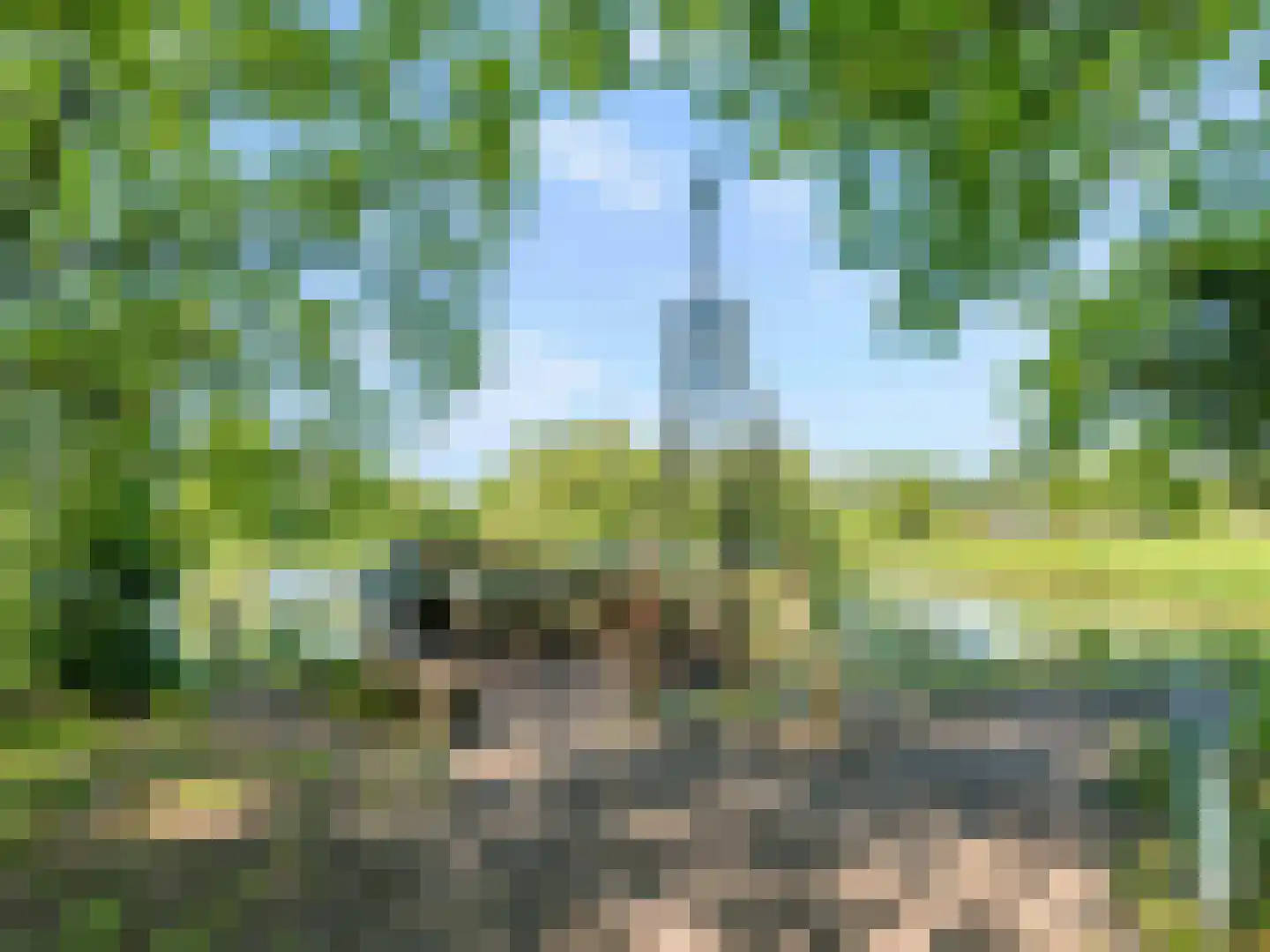 Reigerskamp 219 Maarssen thumbnail 35
