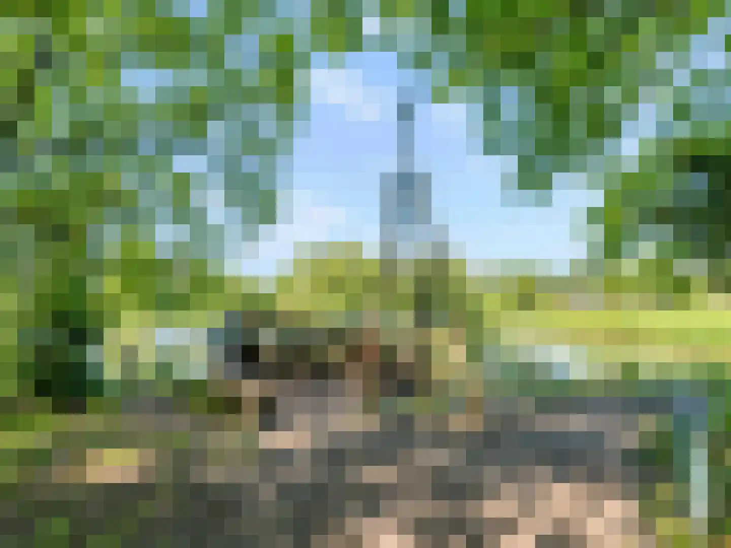 Reigerskamp 219 Maarssen thumbnail 35