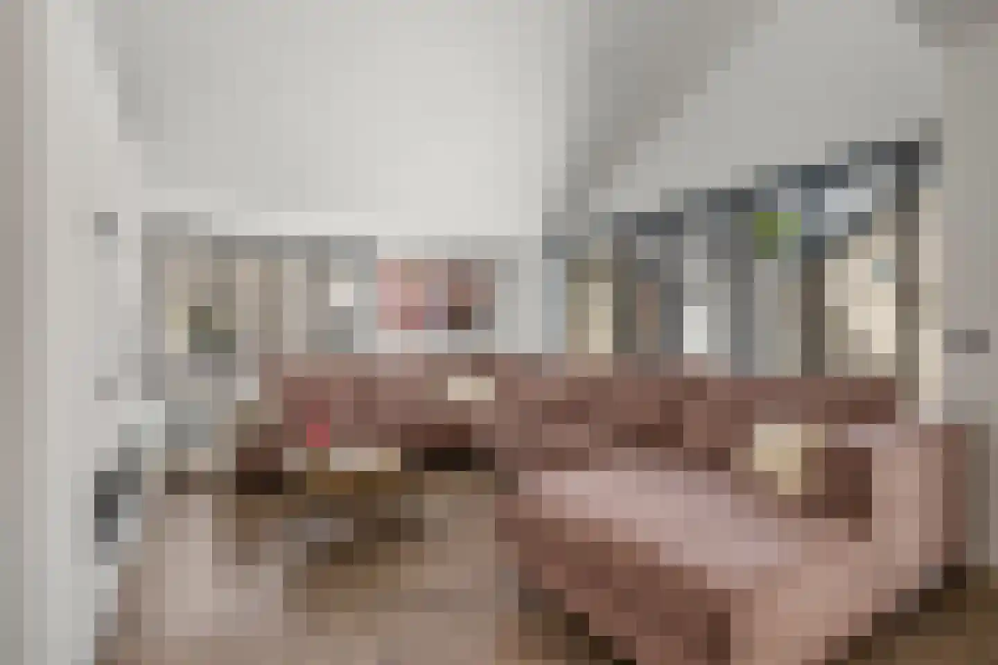 Reigerskamp 222 Maarssen thumbnail 10
