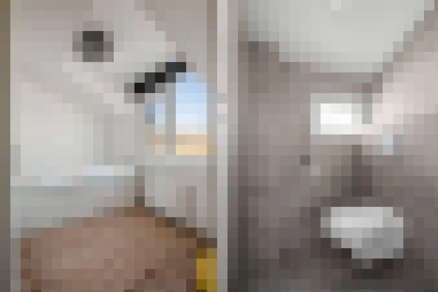 Reigerskamp 222 Maarssen thumbnail 17