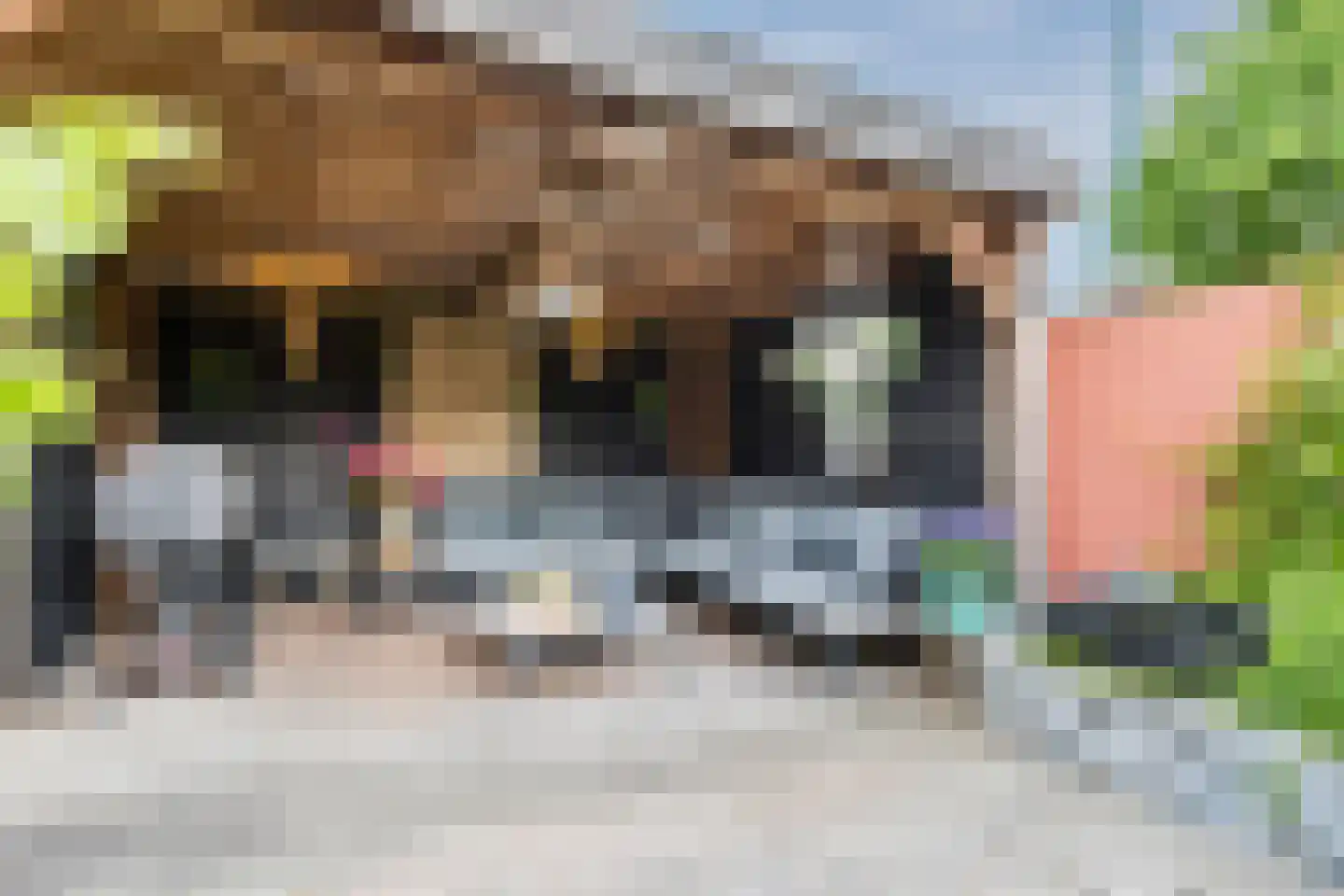 Reigerskamp 258 Maarssen thumbnail 17