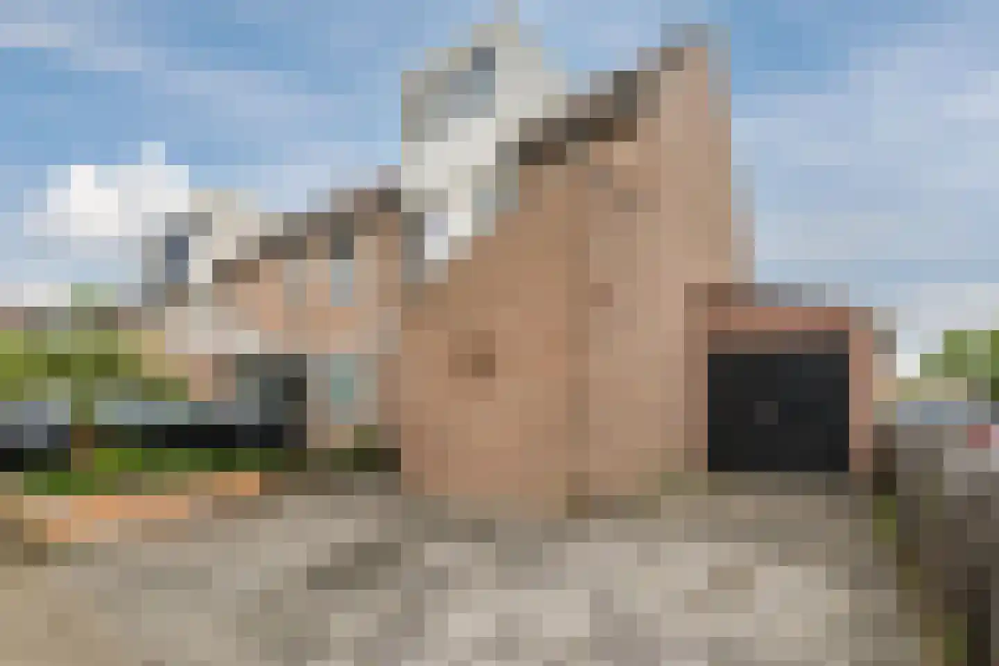 Reigerskamp 258 Maarssen thumbnail 46