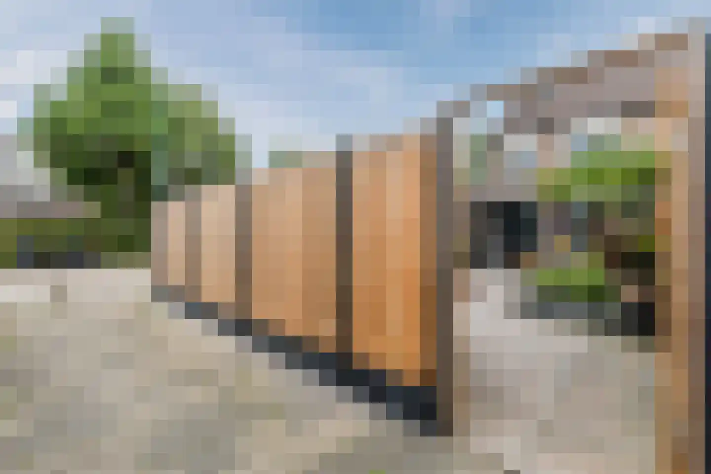 Reigerskamp 258 Maarssen thumbnail 49