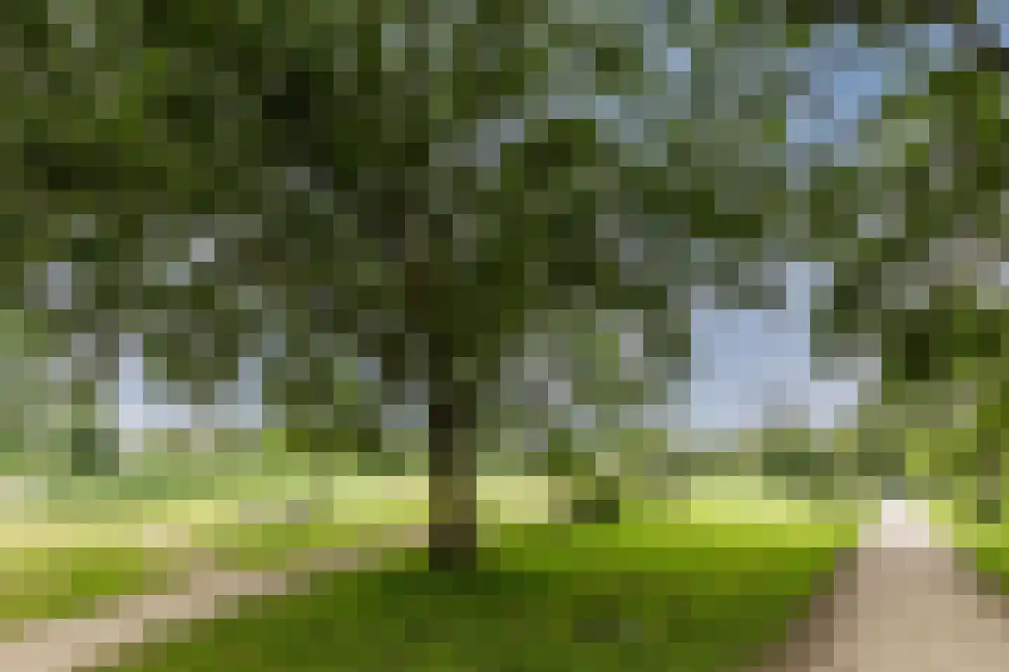 Reigerskamp 258 Maarssen thumbnail 52