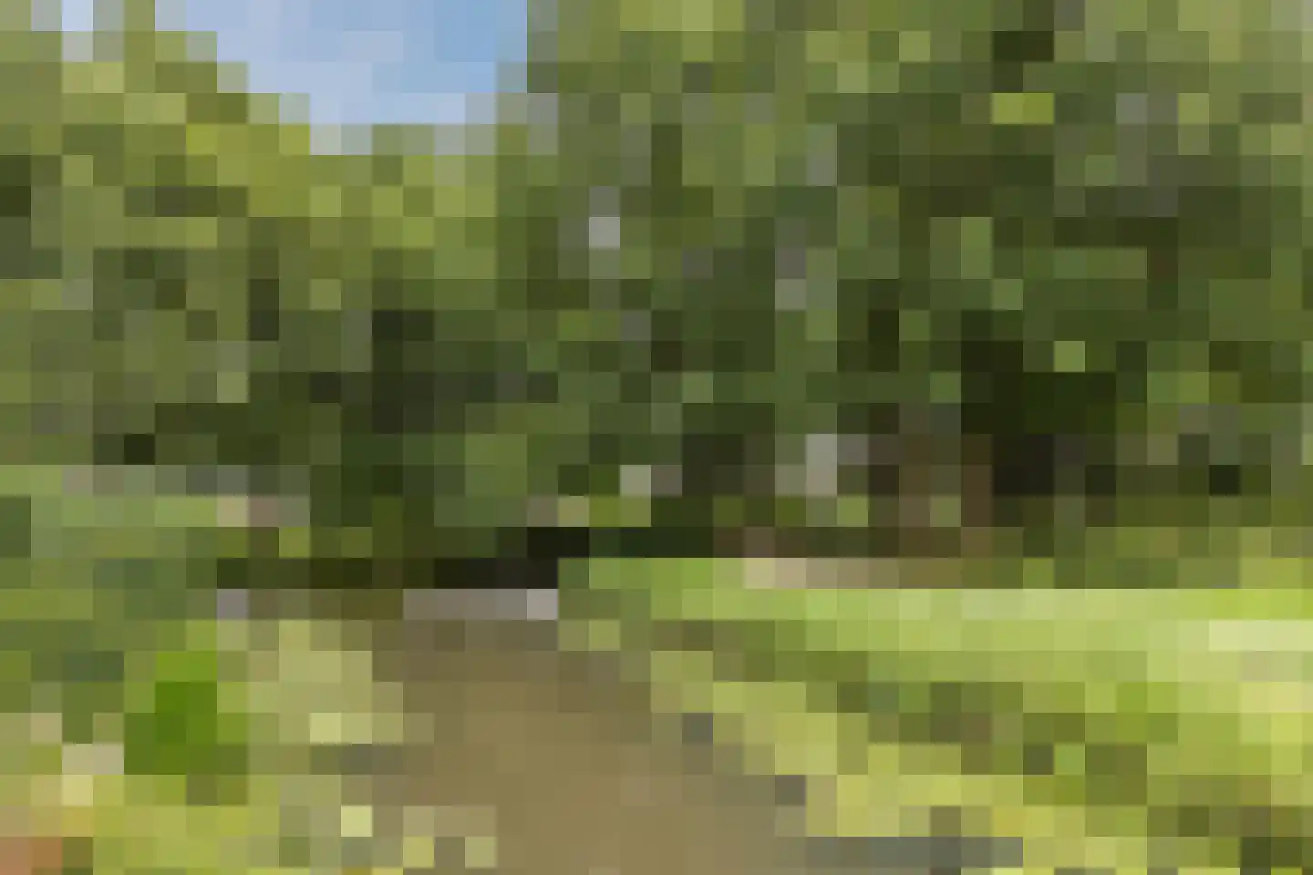 Reigerskamp 258 Maarssen thumbnail 53