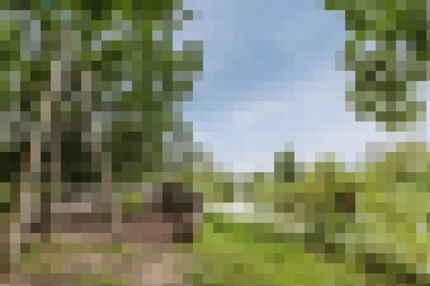 Reigerskamp 258 Maarssen thumbnail 55