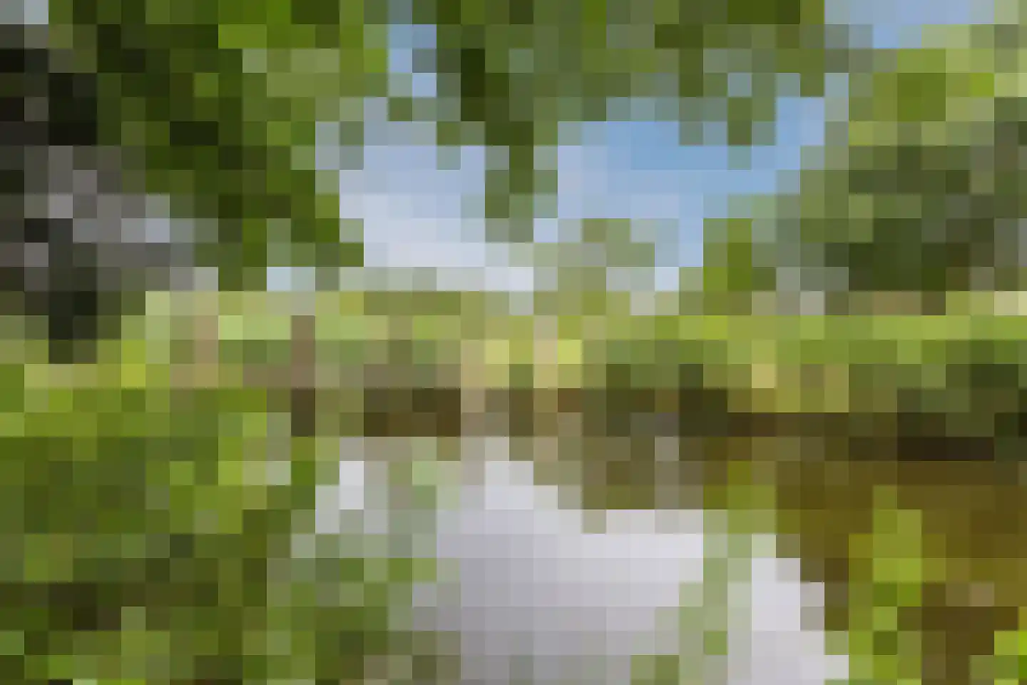 Reigerskamp 258 Maarssen thumbnail 57