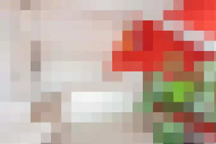 Reigerskamp 270 Maarssen thumbnail 33